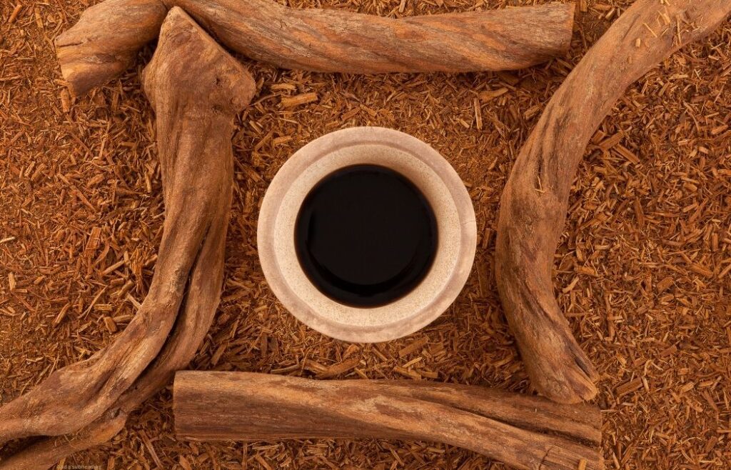 Ayahuasca retreat in peru